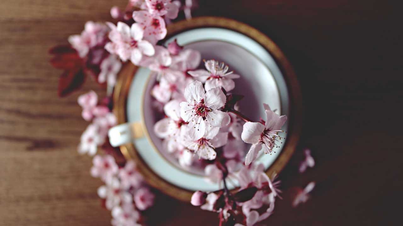 Fiori di pesco in ciotola