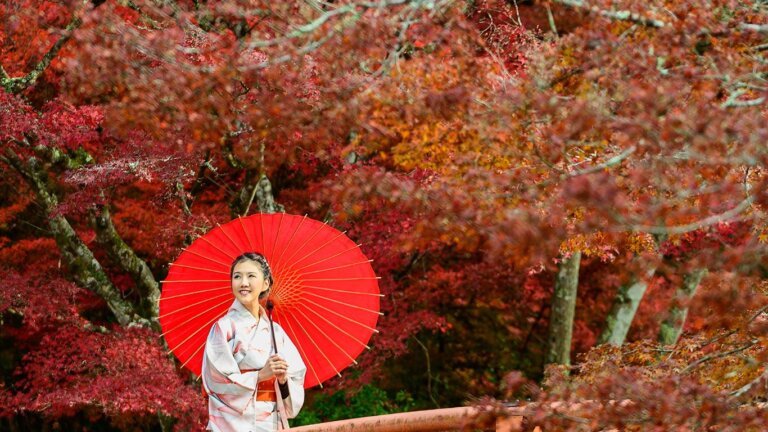 Tradizione Koyo, le foglie colorate autunnali Koyo in Giappone