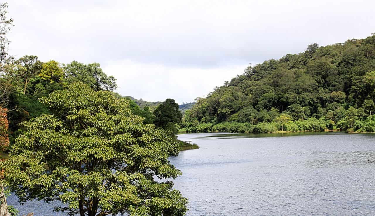 Lago artificiale Parco Nazionale di Periyar