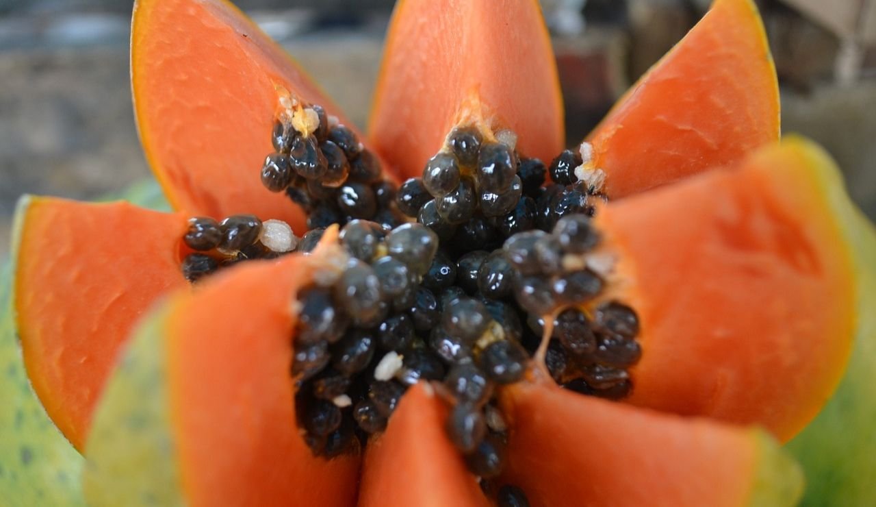 Papaia