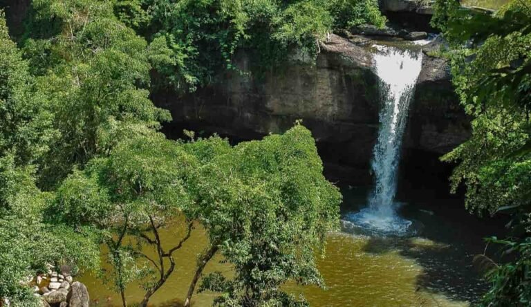 Parco nazionale di Khao Yai