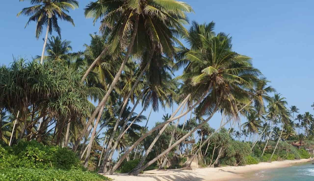 Sri Lanka tra marzo e maggio spiagge