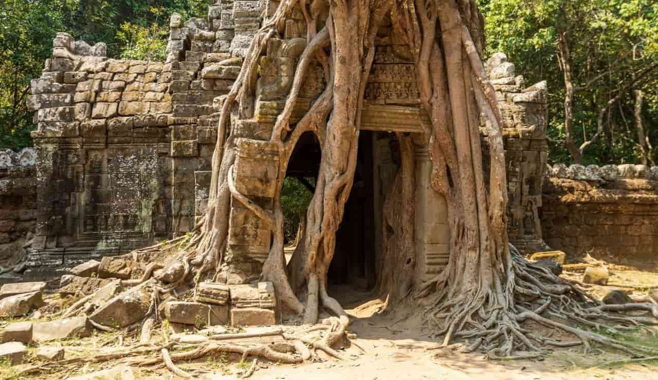 Tempio Di Ta Som Nel Complesso Di Angkor Wat, Siem Reap, Cambogia