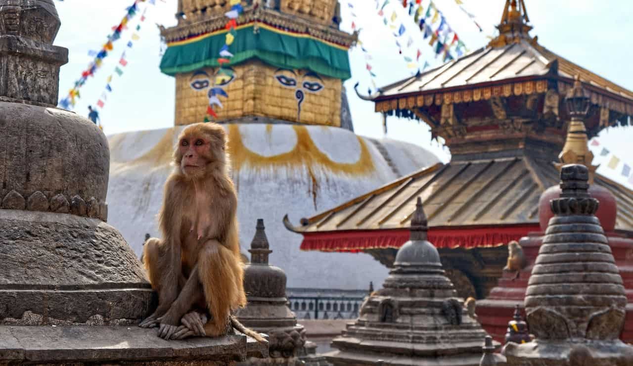 Tempio di Swayambhunath, conosciuto anche come il Tempio delle Scimmie