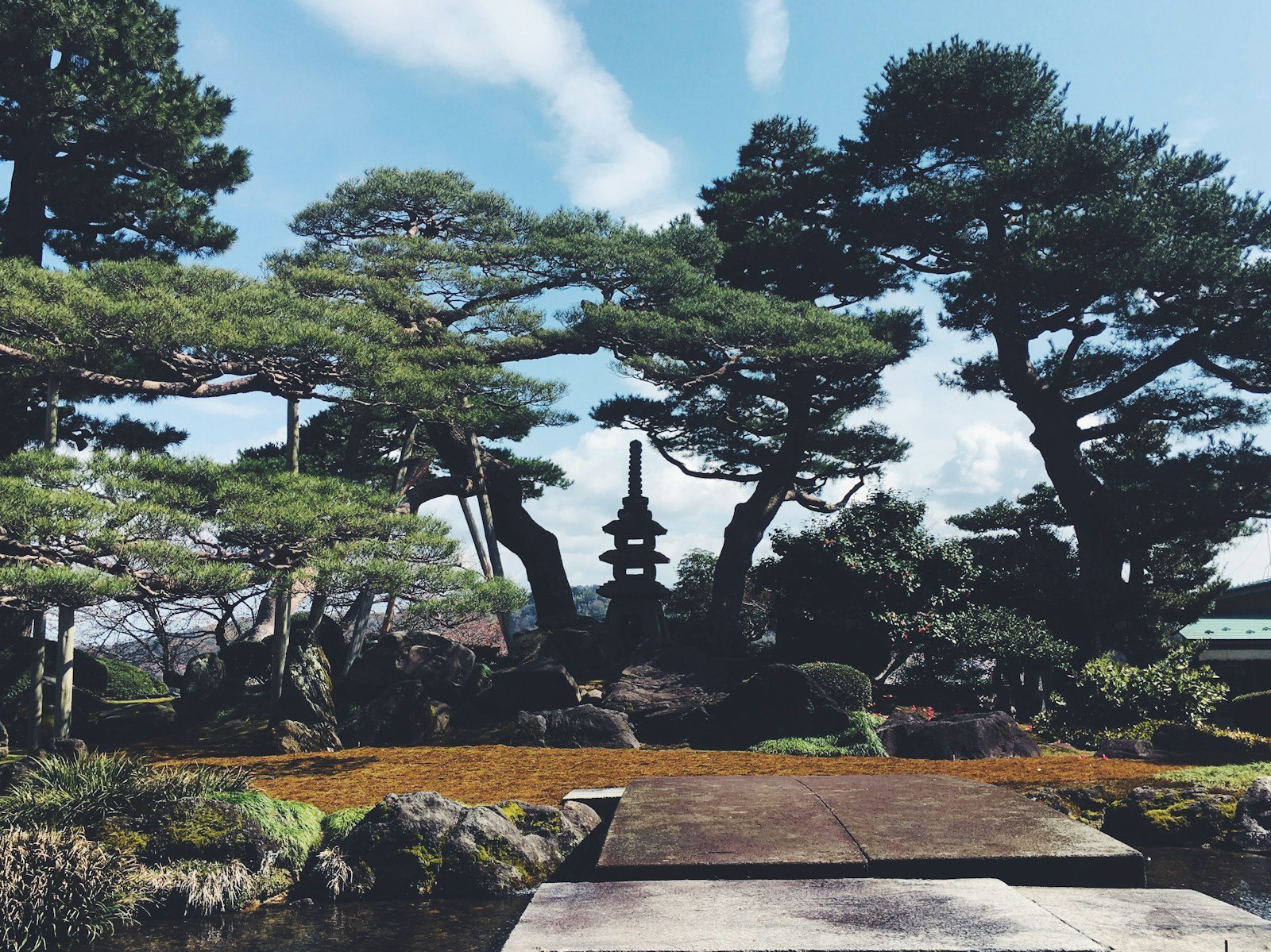 giappone 15 giorni Giappone in 15 giorni: itinerario completo giorno per giorno (2026) Pini e prato nel giardino Kenroku-en di Kanazawa