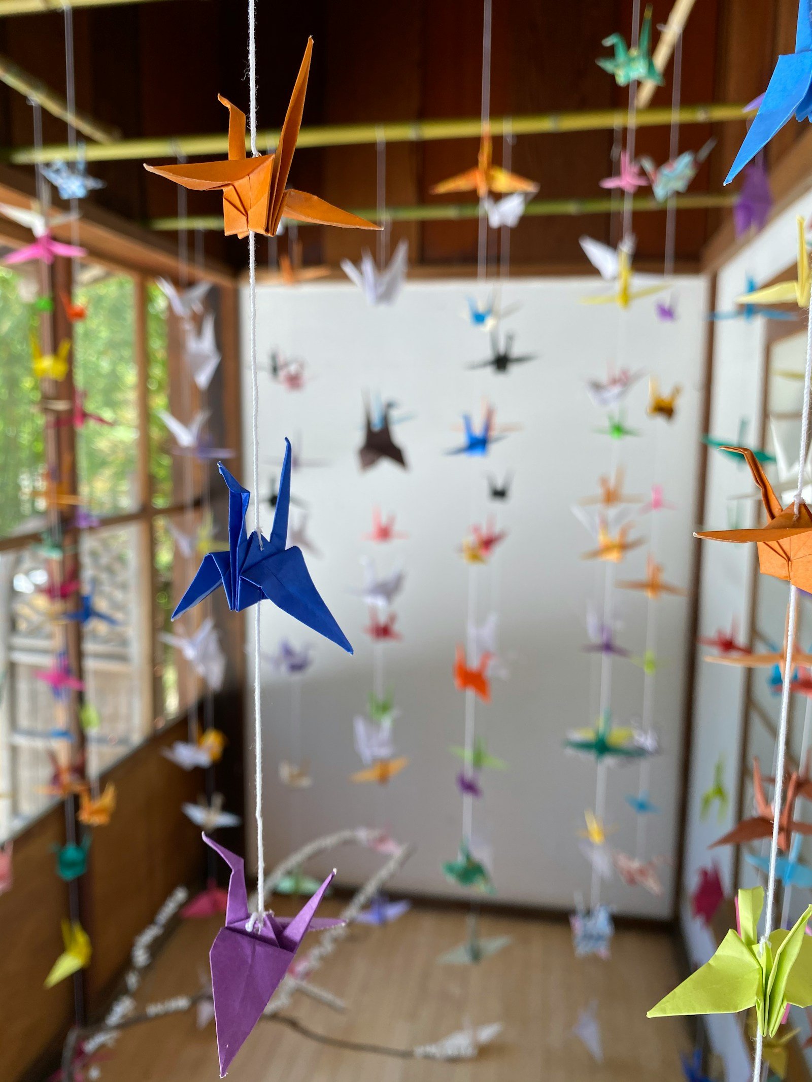 origami significato Significato degli origami in Giappone: gru, cigno e altri simboli Fili di gru di carta colorate appese davanti a una finestra