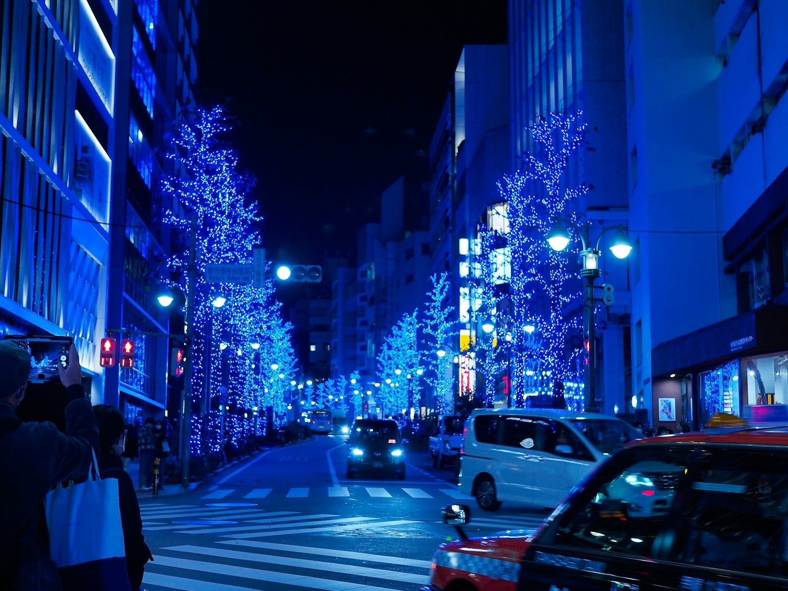 giappone a dicembre Giappone a dicembre: clima, temperature, cosa vedere e costi (2026) Strada di Shibuya di notte con alberi illuminati di luci blu
