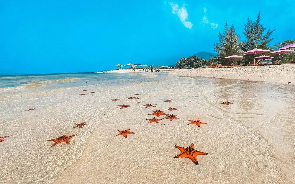 starfish beach phu quoc