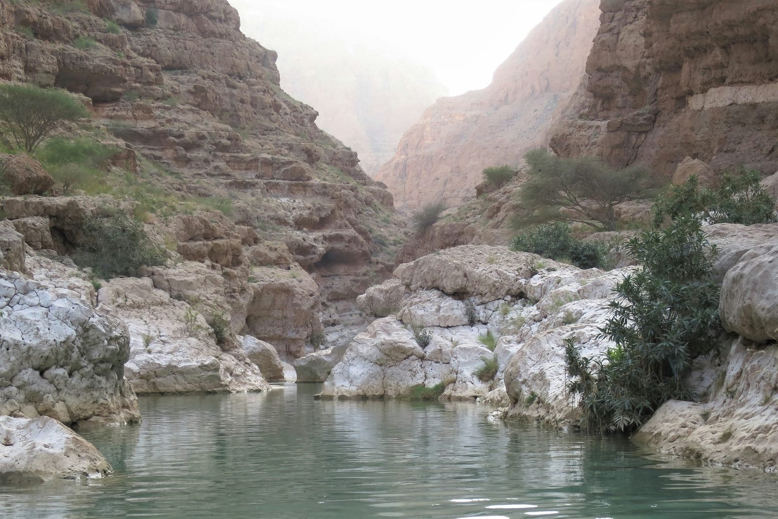 oman itinerario 10 giorni fai da te Oman in 10 giorni fai da te: itinerario in auto da Muscat (2026) Le pareti del canyon del Wadi Shab che si specchiano in una pozza verde