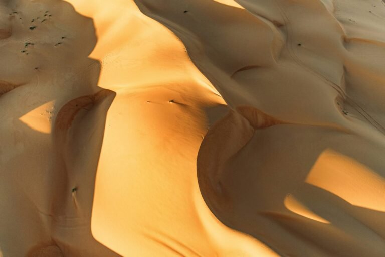 capodanno in oman Wahiba Sands: dove dormire nel deserto, dal campo economico al glamping (2026) Dune di Wahiba Sands viste dallalto,